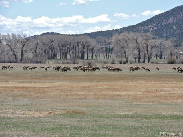 6965 Trinchera Ranch Road North Fort Garland, CO 81133 - Photo 38 of 40 Gallery Image 38