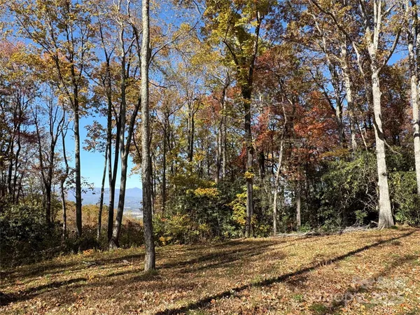 a view of a backyard of the house
