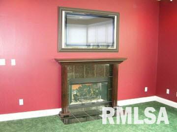 1308 Ava Road Murphysboro, IL 62966 - Photo 8 of 17 Gallery Image 8