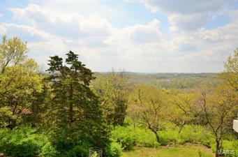 4445 Alt Road Eureka, MO 63025 - Photo 40 of 44 Gallery Image 40