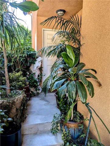 a plant is in front of a house