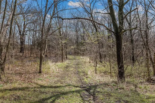 $670,000 | 471 County Road, Centerview, MO 64019