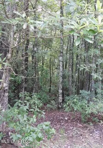 $75,000 | 19144 Cemetery Road, Saucier, MS 39574