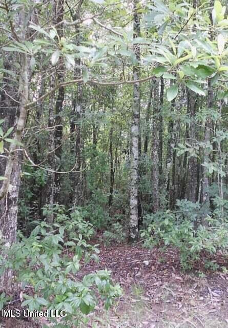 19144 Cemetery Road Saucier, MS 39574 - Photo 3 of 8 20230914172349566782000000-o