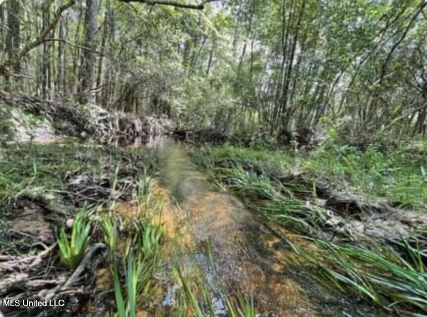 19144 Cemetery Road Saucier, MS 39574 - Photo 4 of 8 20230914172348122379000000-o