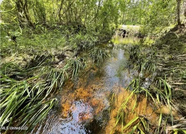 $75,000 | 19144 Cemetery Road, Saucier, MS 39574