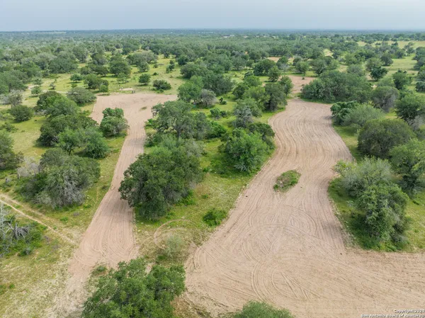 an aerial view of forest