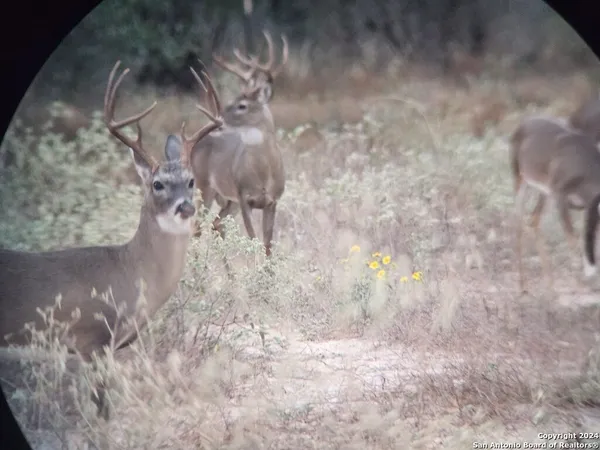 $632,960 | 445 Private Road 7822, Natalia, TX 78059