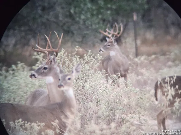 $632,960 | 445 Private Road 7822, Natalia, TX 78059