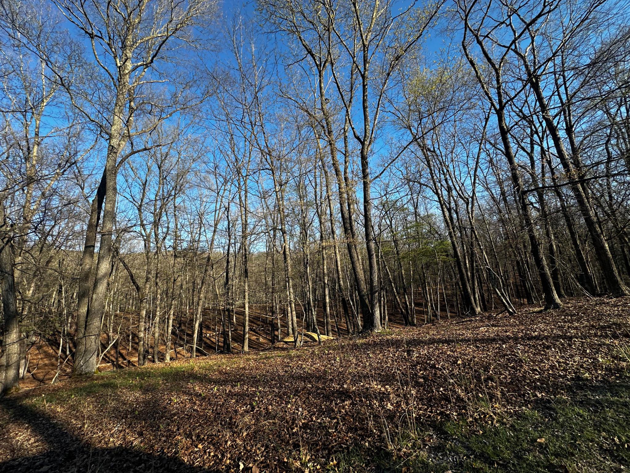 Crossings View Rd Road Paw Paw, WV 25434 - Photo 12 of 20 Gallery Image 12