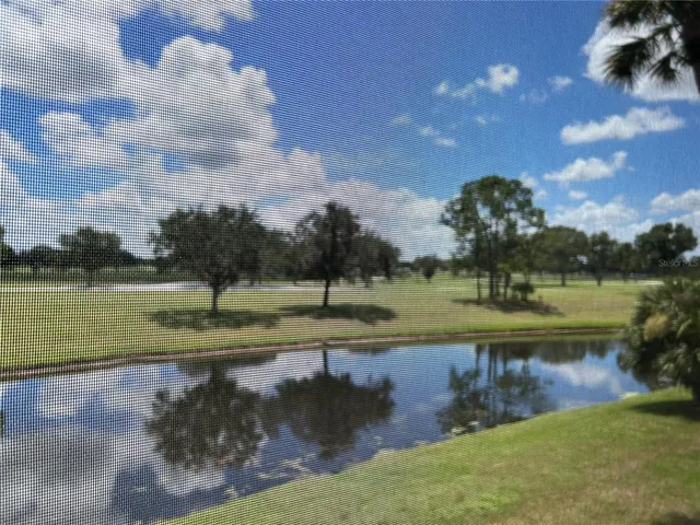a view of a lake and green space