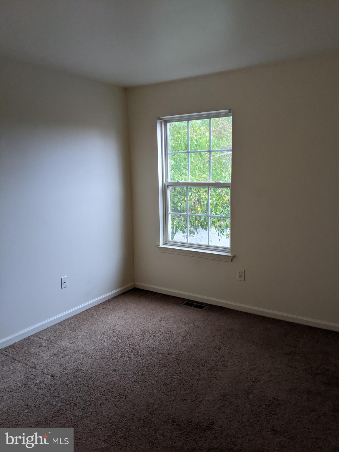 47 Meadow Rue Lane Sicklerville, NJ 08081 - Photo 29 of 39