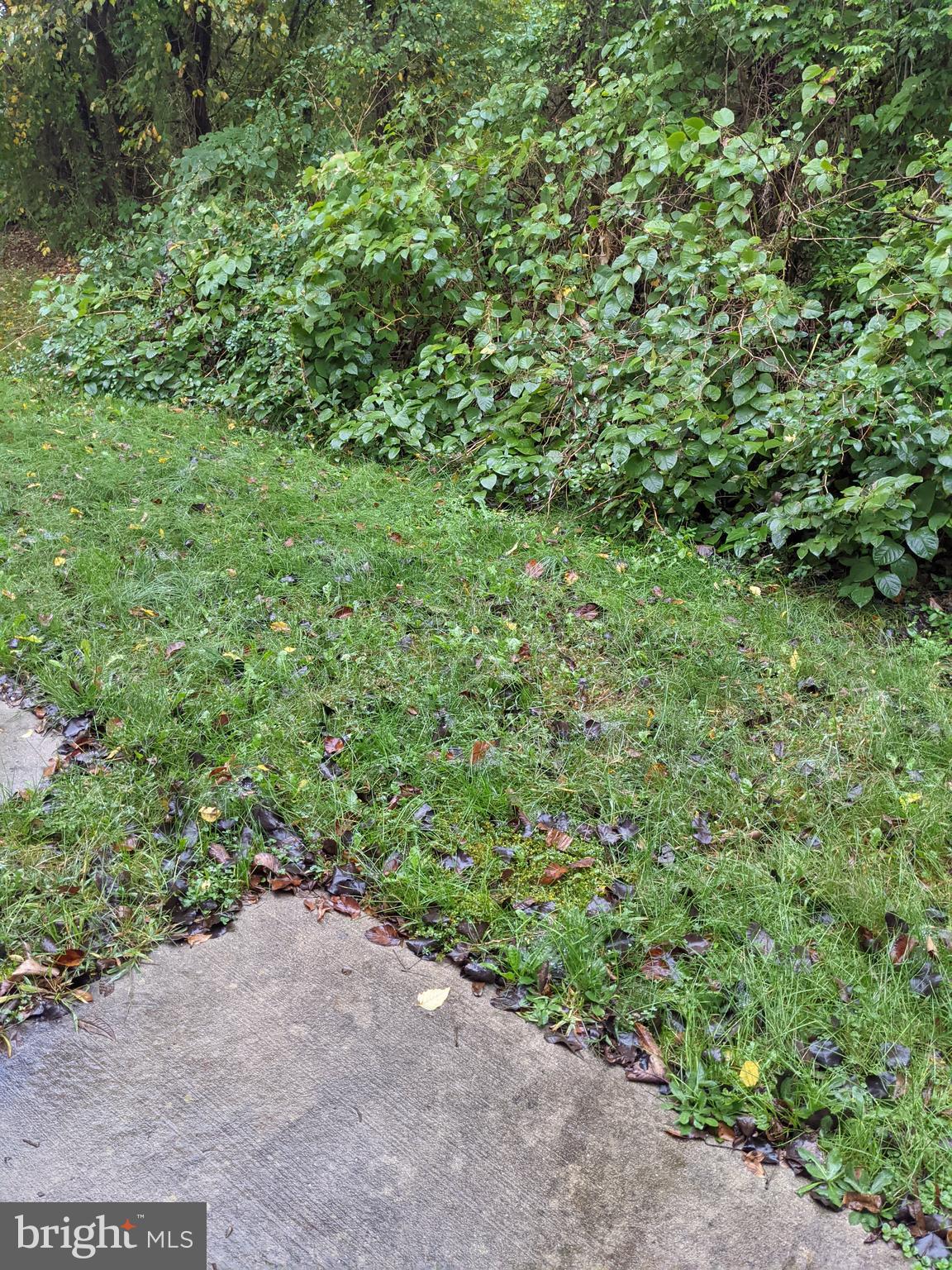 47 Meadow Rue Lane Sicklerville, NJ 08081 - Photo 39 of 39