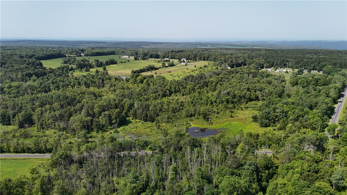Filmore Road Moravia, NY 13118 - Photo 1 of 1 Gallery Image 1