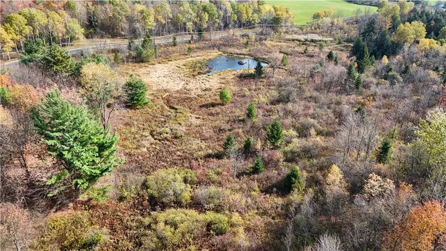 $42,900 | Filmore Road, Moravia, NY 13118