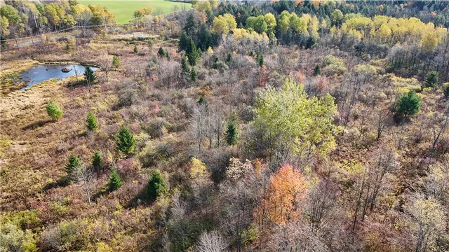 $42,900 | Filmore Road, Moravia, NY 13118