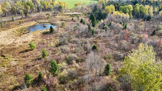 $42,900 | Filmore Road, Moravia, NY 13118