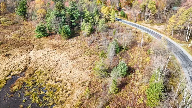 $42,900 | Filmore Road, Moravia, NY 13118