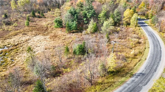 $42,900 | Filmore Road, Moravia, NY 13118