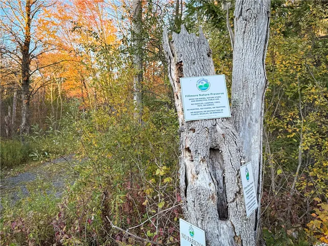 $42,900 | Filmore Road, Moravia, NY 13118