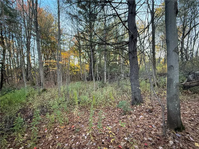 $42,900 | Filmore Road, Moravia, NY 13118