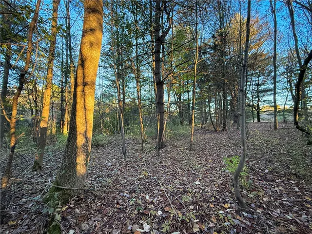 $42,900 | Filmore Road, Moravia, NY 13118