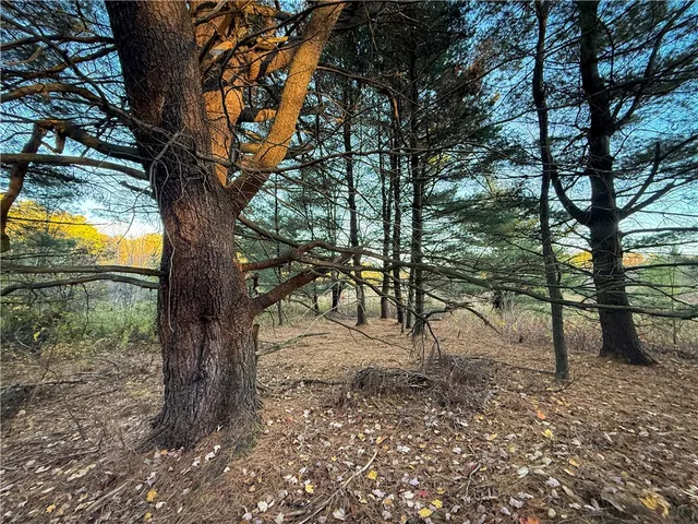 $42,900 | Filmore Road, Moravia, NY 13118