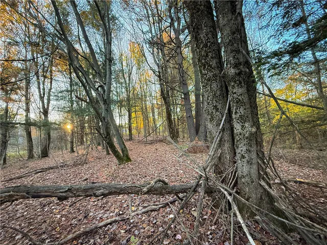 $42,900 | Filmore Road, Moravia, NY 13118