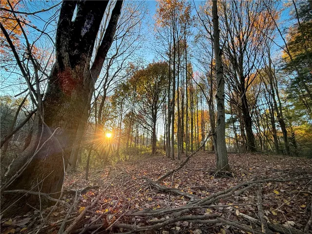 $42,900 | Filmore Road, Moravia, NY 13118