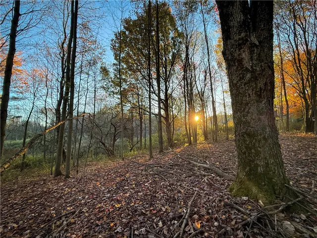 $42,900 | Filmore Road, Moravia, NY 13118