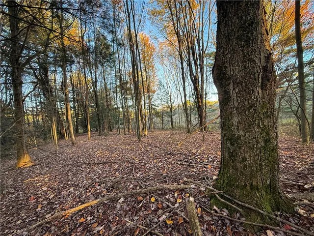 $42,900 | Filmore Road, Moravia, NY 13118