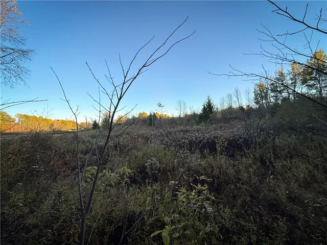 $42,900 | Filmore Road, Moravia, NY 13118