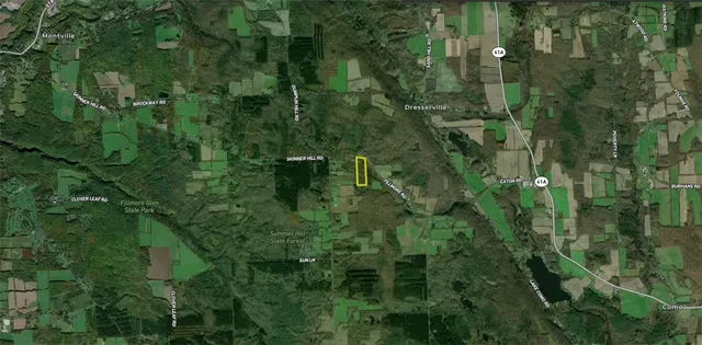 $42,900 | Filmore Road, Moravia, NY 13118