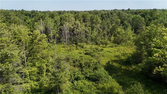 $42,900 | Filmore Road, Moravia, NY 13118