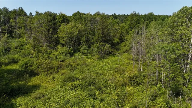 $42,900 | Filmore Road, Moravia, NY 13118