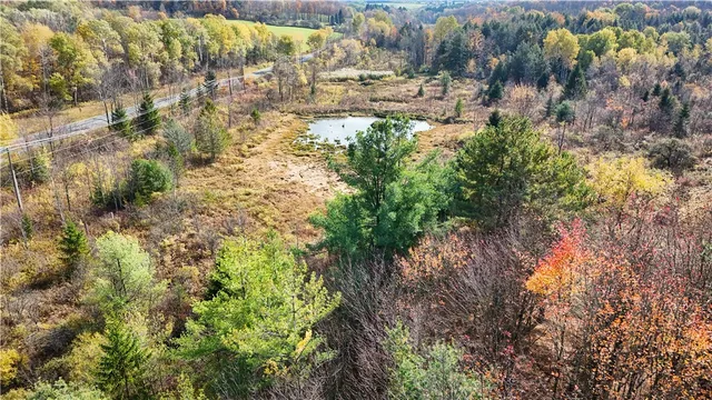 $42,900 | Filmore Road, Moravia, NY 13118