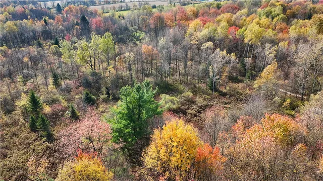 $42,900 | Filmore Road, Moravia, NY 13118