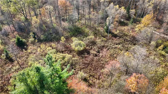 $42,900 | Filmore Road, Moravia, NY 13118