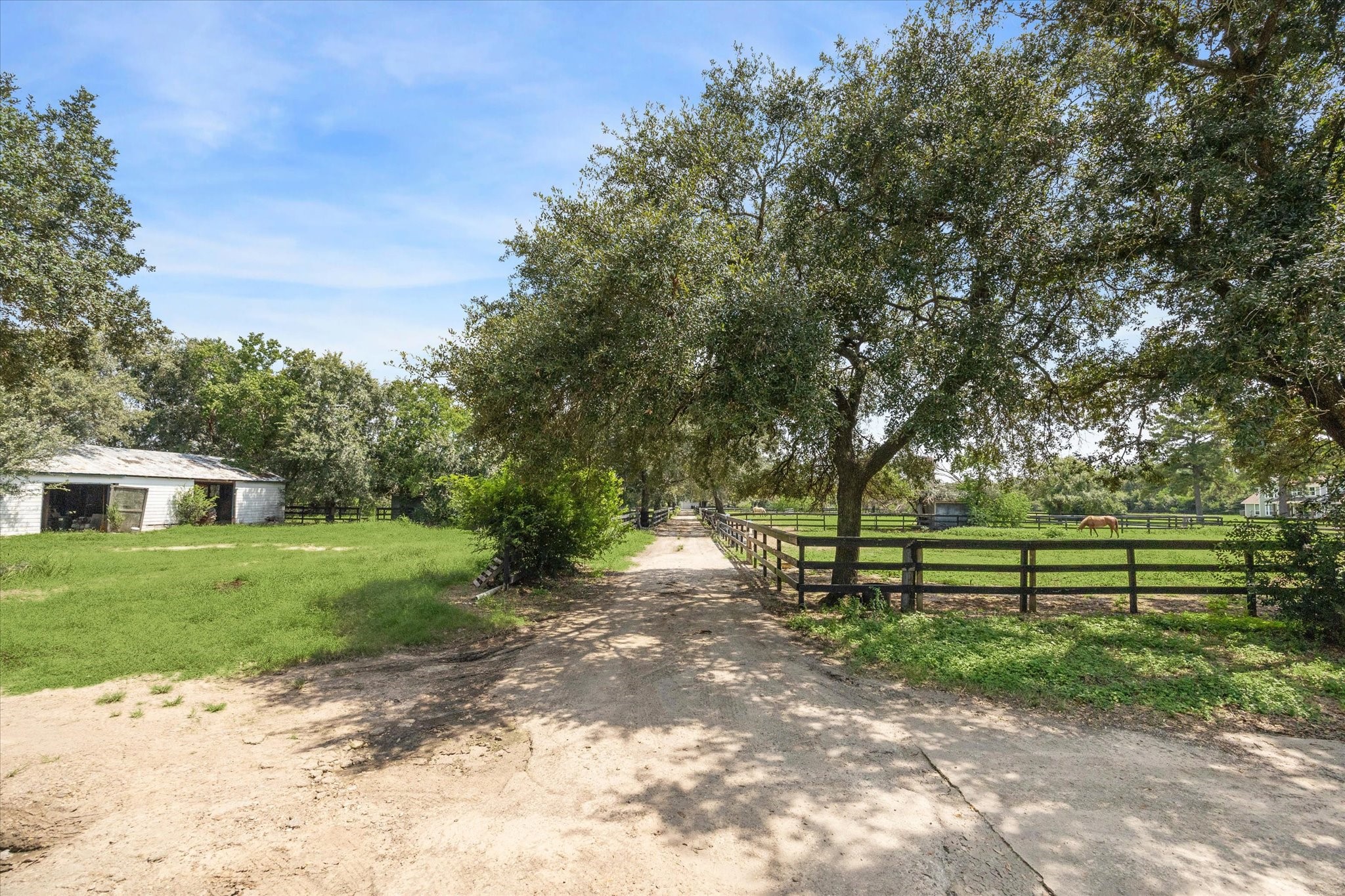 3577 Katy Hockley Road Katy, TX 77493 - Photo 38 of 50 a view of outdoor space and yard