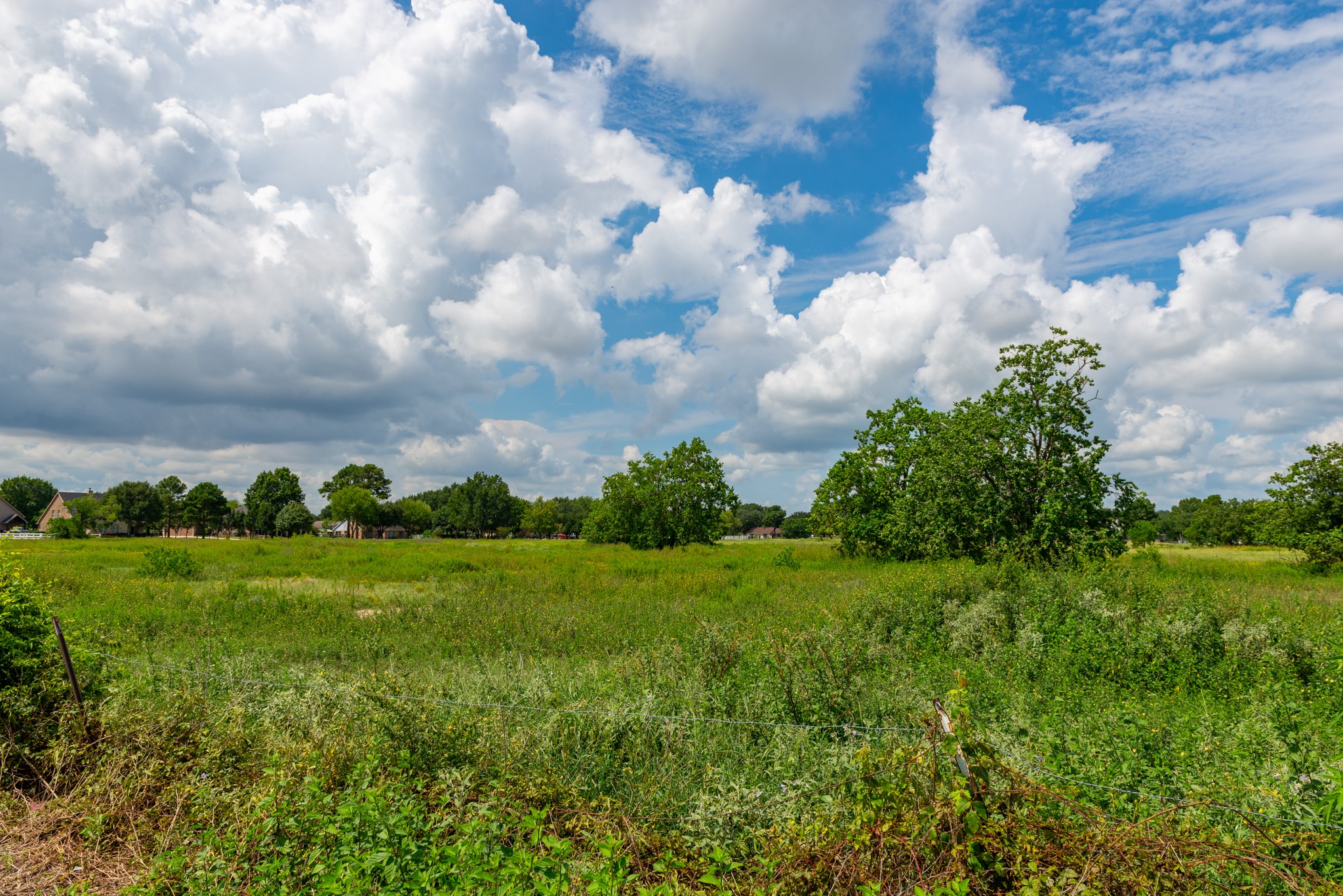 3577 Katy Hockley Road Katy, TX 77493 - Photo 41 of 50 a view of a big yard with lots of green space