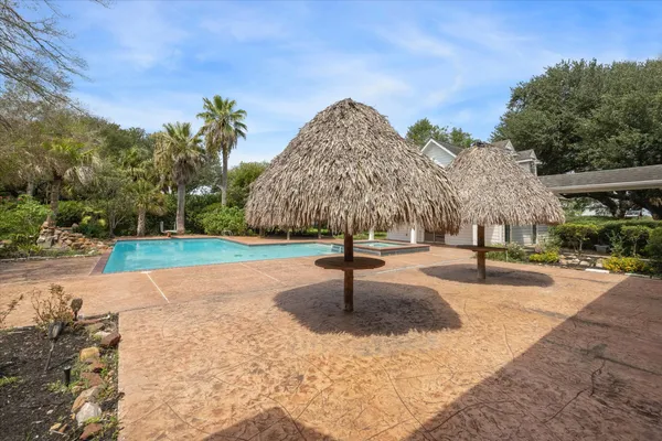 a park with lots of trees and plants