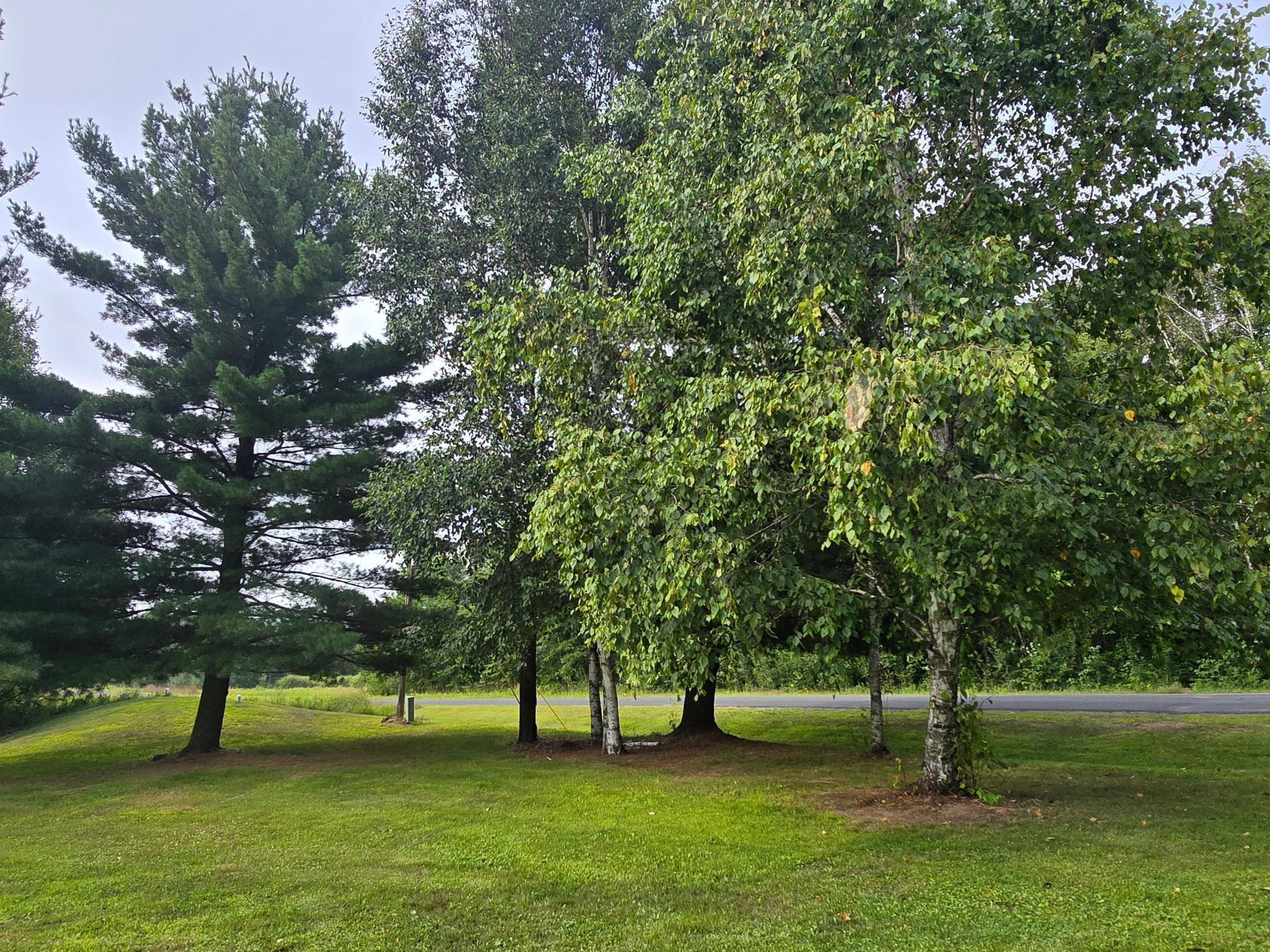 11013 Lundquist Road Grantsburg, WI 54840 - Photo 33 of 35