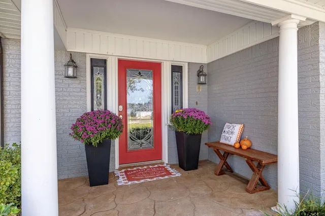 a potted plant sitting in front of a house