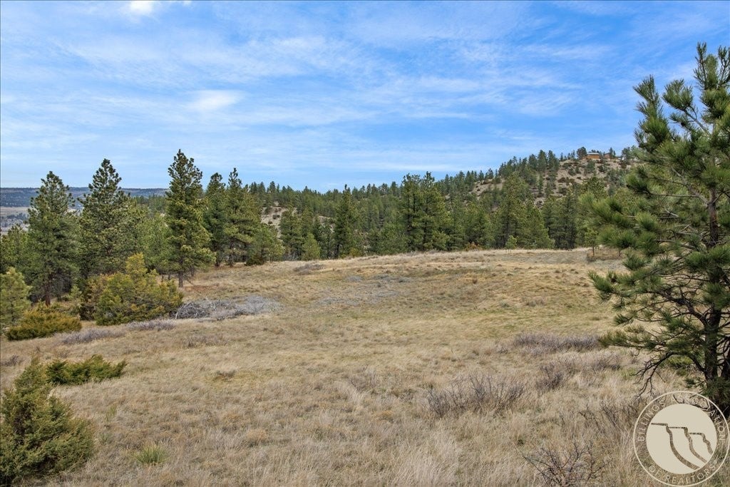 126 Nighthawk Road Reed Point, MT 59069 - Photo 11 of 35 Gallery Image 11
