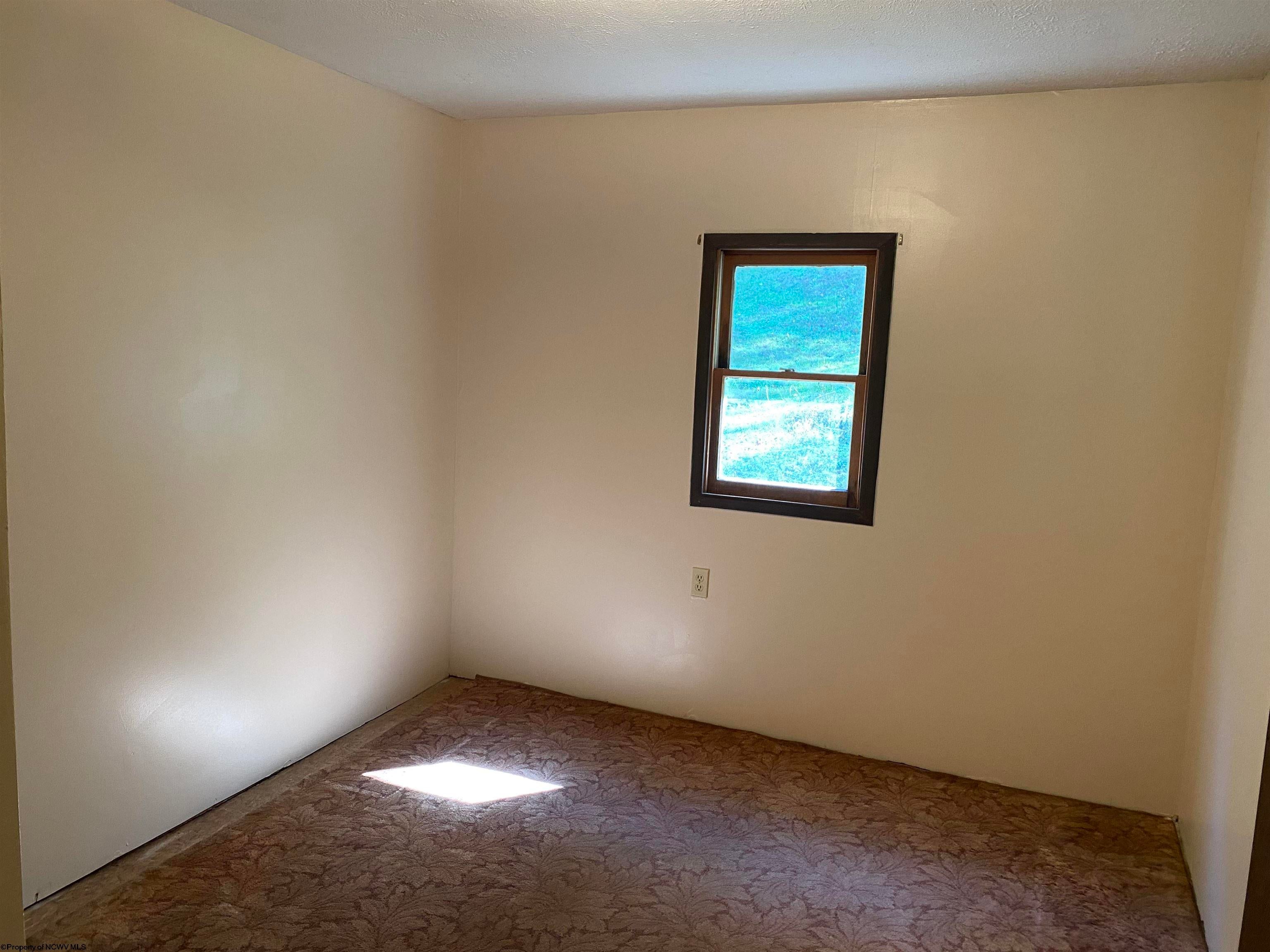 2126 Location Road Parsons, WV 26287 - Photo 16 of 50 Gallery Image 16