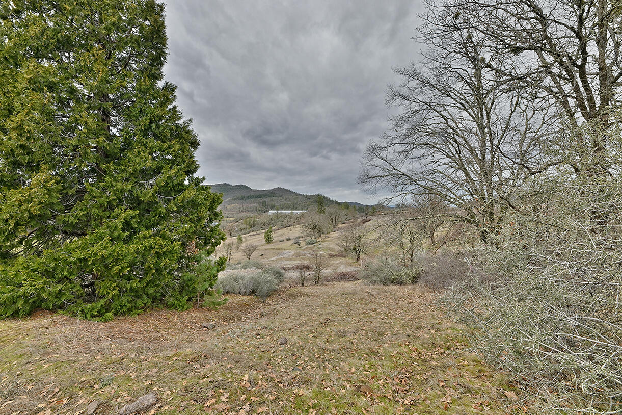 13546 Highway 140 Eagle Point, OR 97524 - Photo 16 of 24 a view of a dry yard with trees