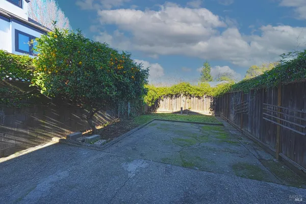 a view of a yard