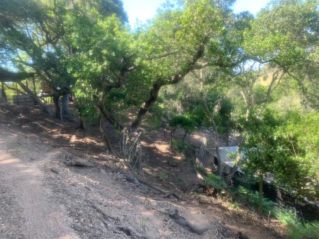 320 Live Oak Road Watsonville, CA 95076 - Photo 36 of 38 Gallery Image 36