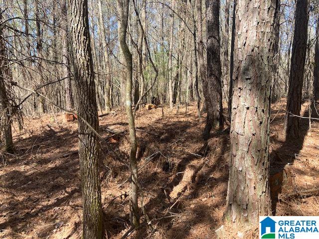 30 County Road, Unit 80 Cragford, AL 36255 - Photo 1 of 7