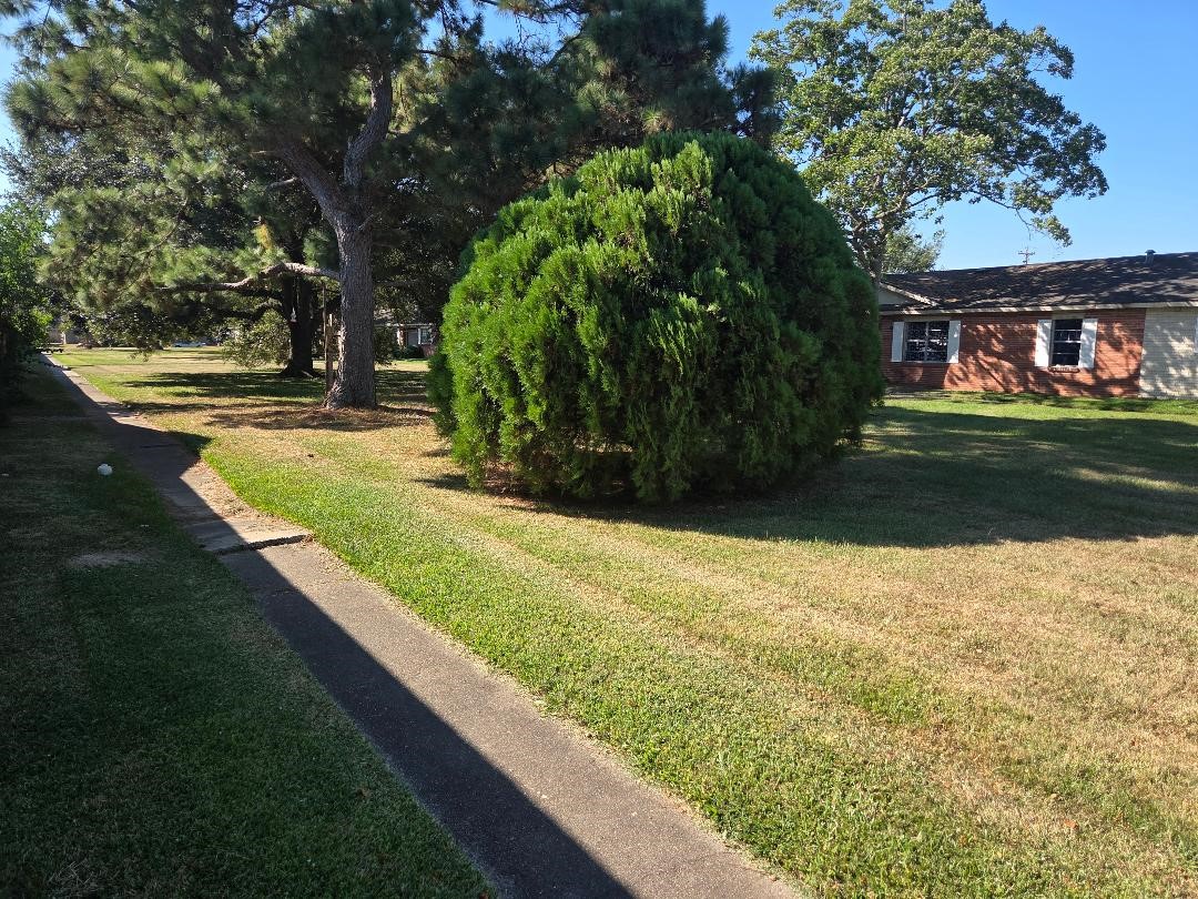 2000 Bahama Drive, Unit 30 Seabrook, TX 77586 - Photo 2 of 14 a view of a yard with plants
